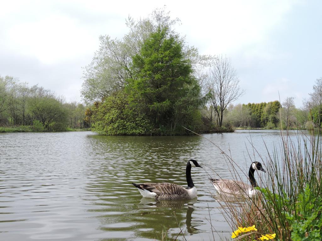Bodmin Holiday Park Lanivet 외부 사진